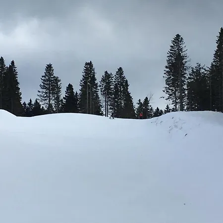 Apartma Odklop Rogla *