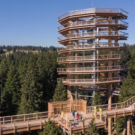 Apartma Odklop Rogla * Lukanja