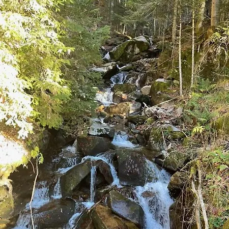 Apartma Odklop Rogla 公寓 *