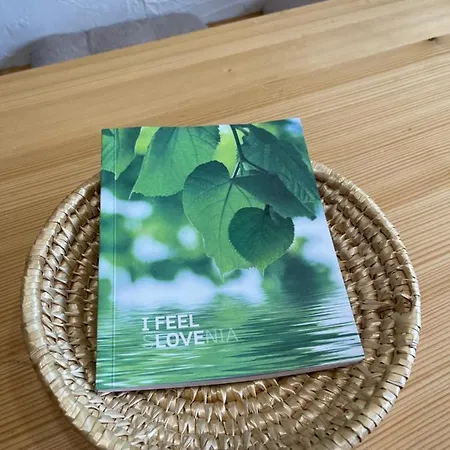 Apartma Odklop Rogla 公寓 *