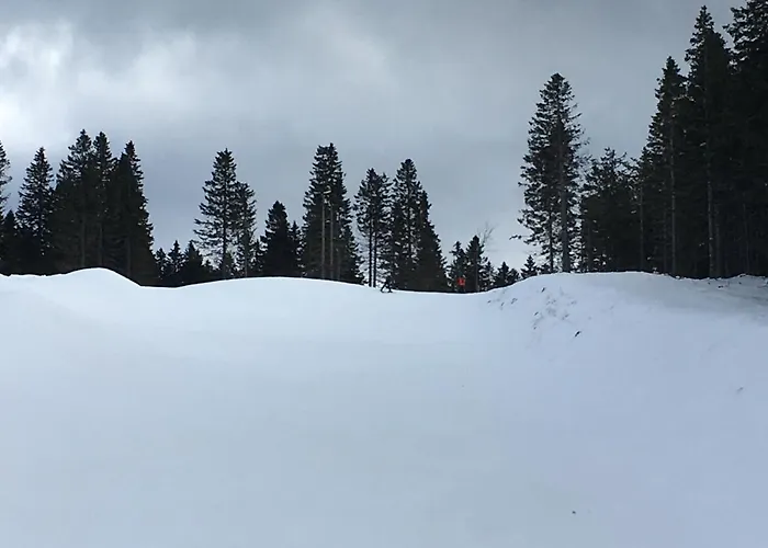 Apartma Odklop Rogla *