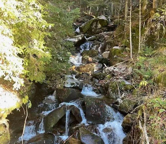 Apartma Odklop Rogla דירה *