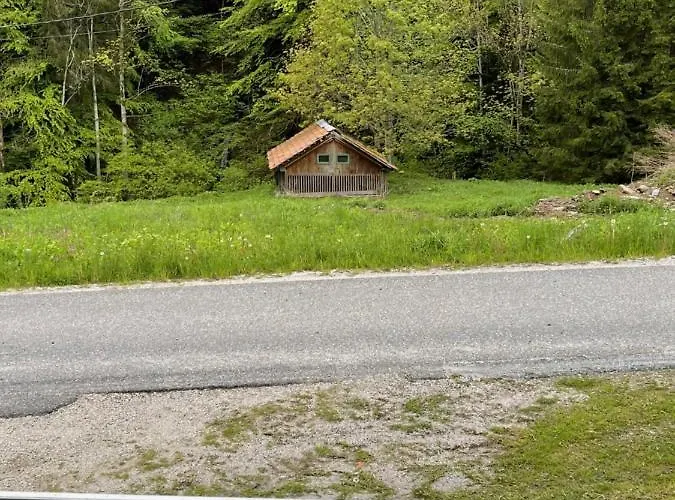 Apartma Odklop Rogla דירה